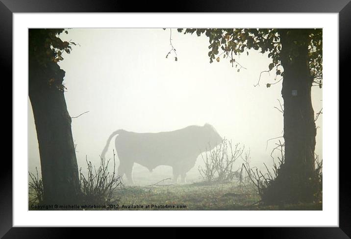 Misty bull Framed Mounted Print by michelle whitebrook