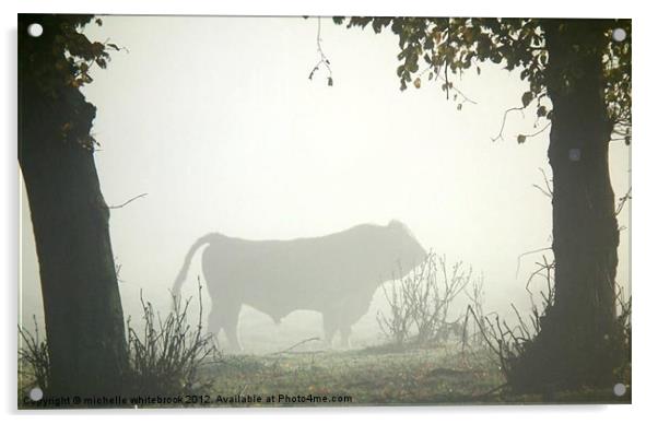 Misty bull Acrylic by michelle whitebrook