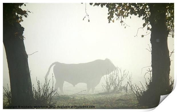 Misty bull Print by michelle whitebrook
