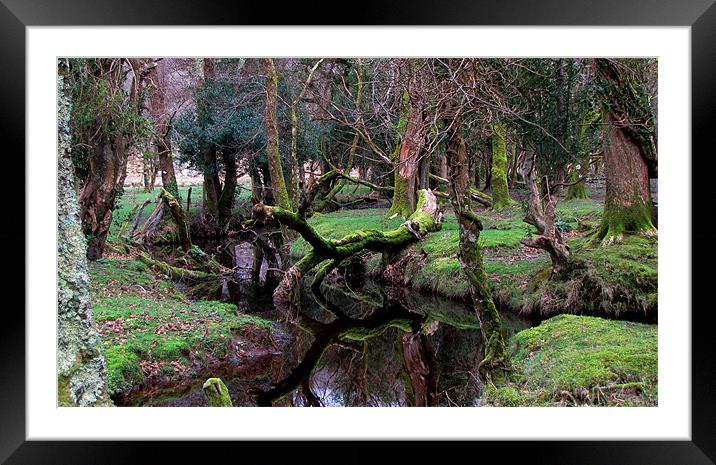 River in the Park Framed Mounted Print by barbara walsh
