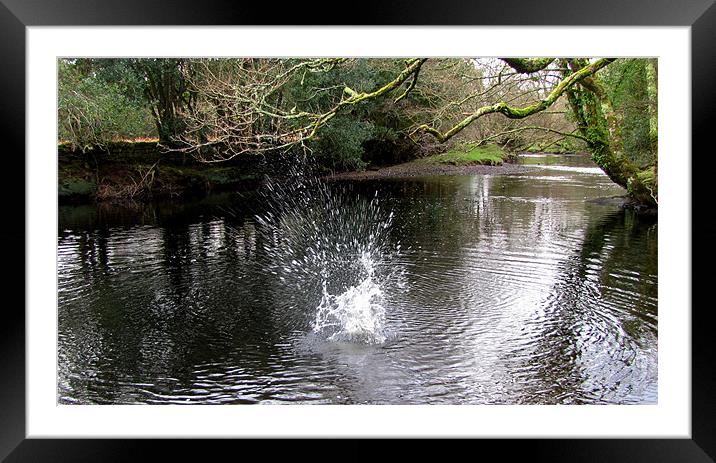 Splash in the River Framed Mounted Print by barbara walsh