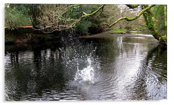 Splash in the River Acrylic by barbara walsh