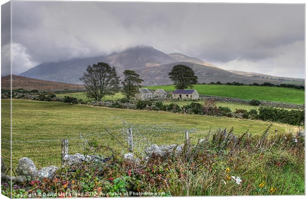Old Mourne Homestead Canvas Print by David McFarland