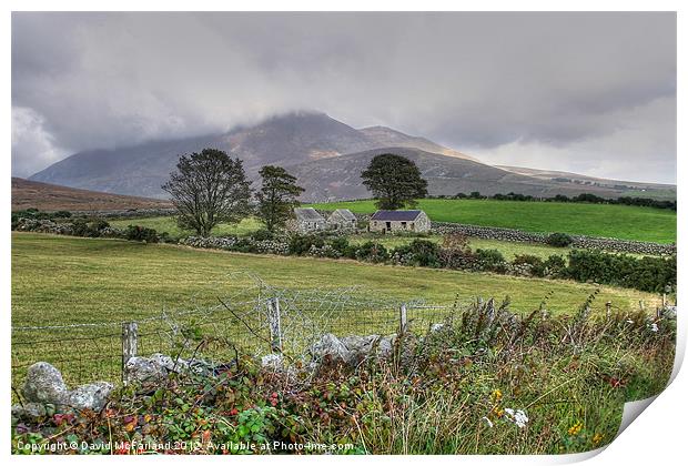 Old Mourne Homestead Print by David McFarland