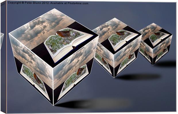 3 Cubes Creation Canvas Print by Peter Blunn