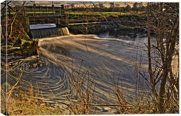 Weir Canvas Print by Dave Reed