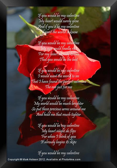 Valentine Rose Framed Print by Mark Hobson