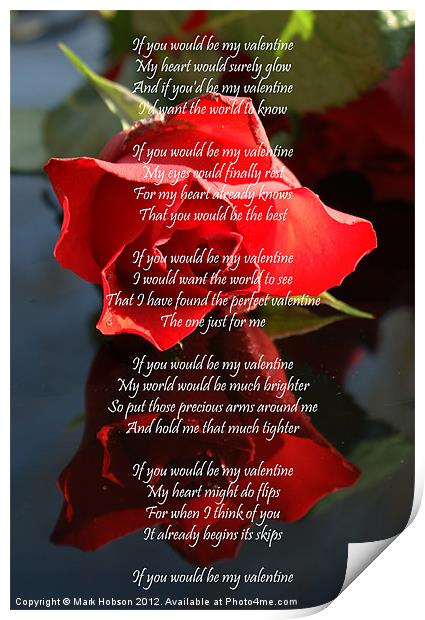 Valentine Rose Print by Mark Hobson
