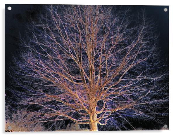 Dark Tree Acrylic by Yvette Harris