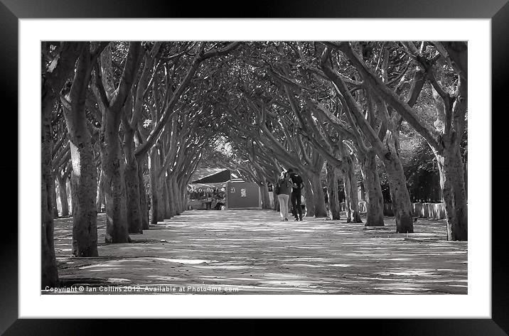 Couple walking under trees Framed Mounted Print by Ian Collins