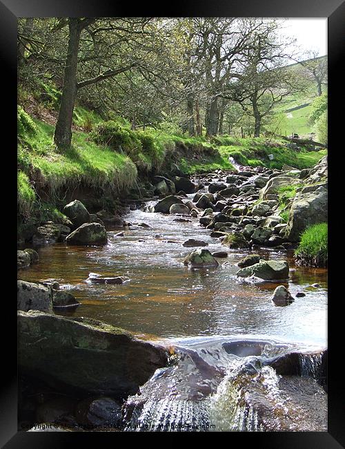 Babbling Brook Framed Print by Mark Hobson