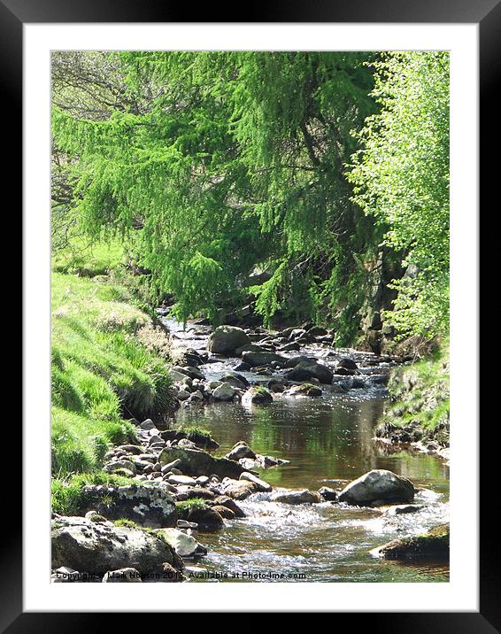 The Brook Framed Mounted Print by Mark Hobson