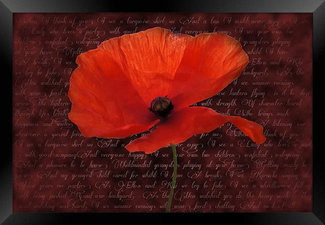 Red Poppy and Poem Framed Print by Daves Photography