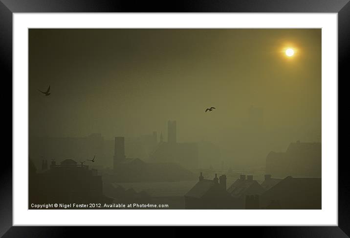 The Birds, Birmingham Framed Mounted Print by Creative Photography Wales