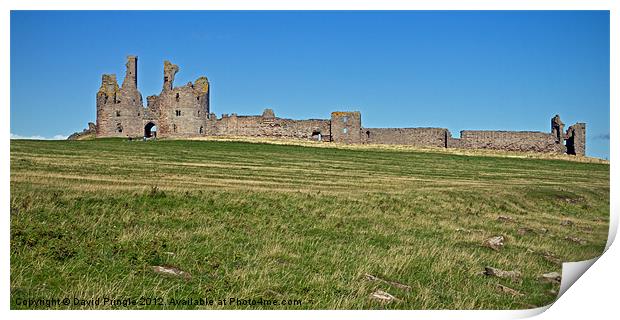 Dunstanburgh Castle Print by David Pringle