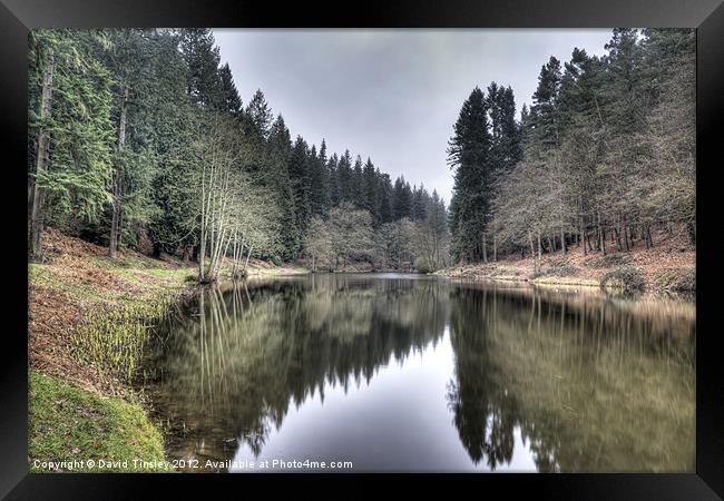 Soudley Ponds Framed Print by David Tinsley