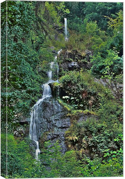 Canonteign Falls Canvas Print by kevin wise