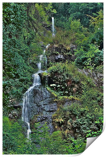 Canonteign Falls Print by kevin wise