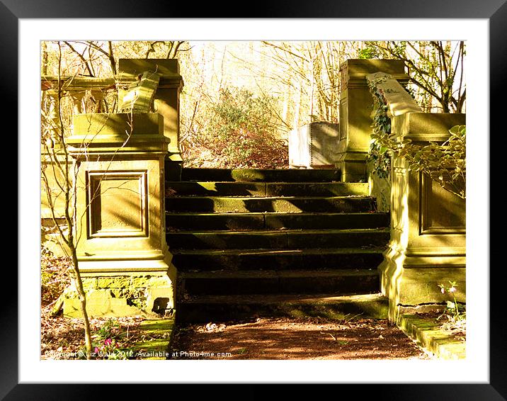 Steps in the Sunshine Framed Mounted Print by Liz Ward