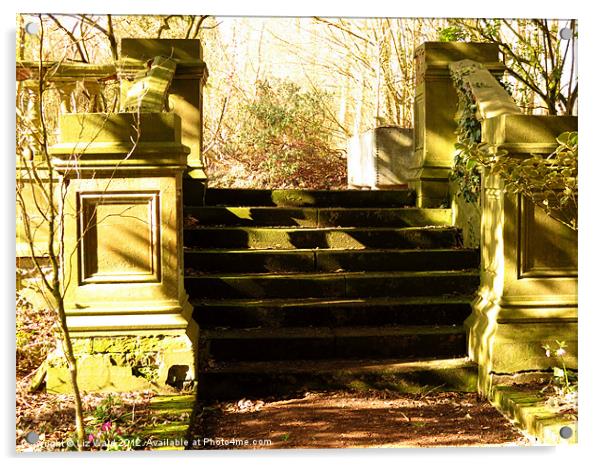 Steps in the Sunshine Acrylic by Liz Ward