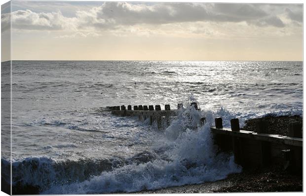 Breakers on Climping Beach Canvas Print by graham young