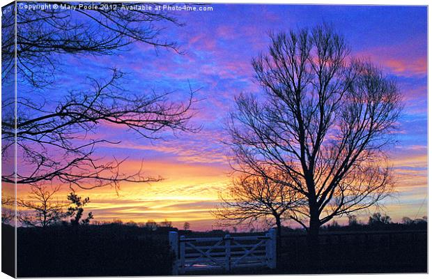 Suffolk Sunrise Canvas Print by Mary Poole