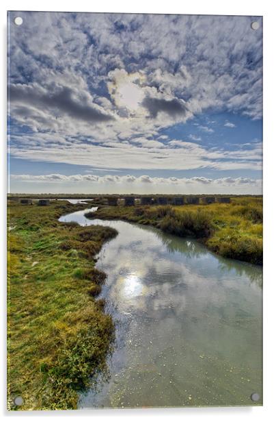 Essex wetlands Acrylic by Gary Eason