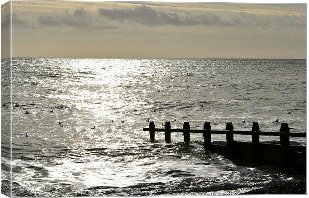 Sunlit Sea Canvas Print by graham young