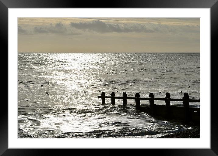 Sunlit Sea Framed Mounted Print by graham young