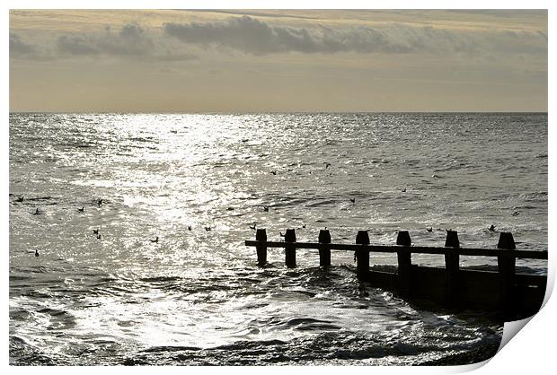 Sunlit Sea Print by graham young