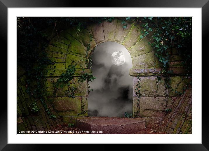 Moon Light Magic Framed Mounted Print by Christine Lake