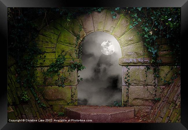 Moon Light Magic Framed Print by Christine Lake
