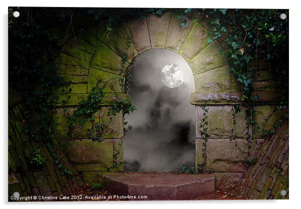 Moon Light Magic Acrylic by Christine Lake
