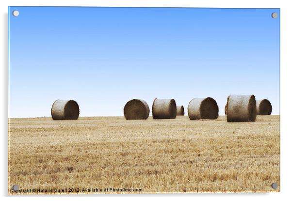 Hay Bales Acrylic by Natalie Durell