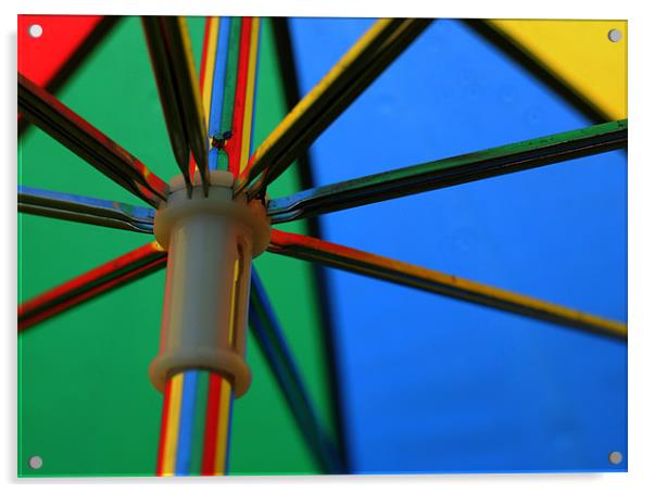 Under my umbrella Acrylic by Simon Wilson