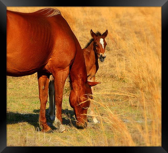 Mother and Son Framed Print by Mikaela Fox