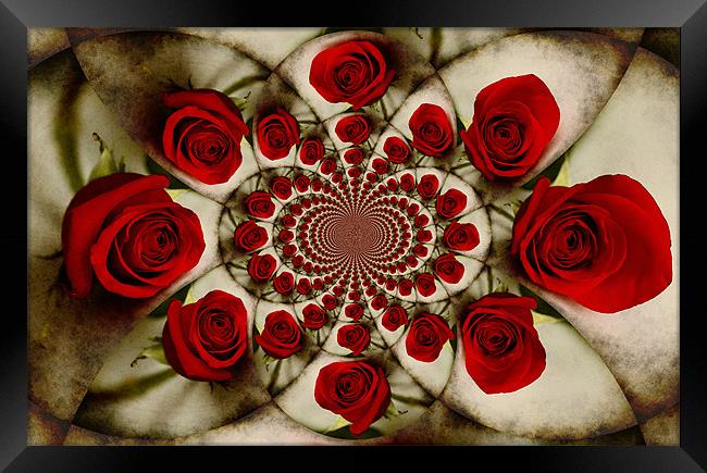 Ring-A-Ring-A-Roses Framed Print by Liz 