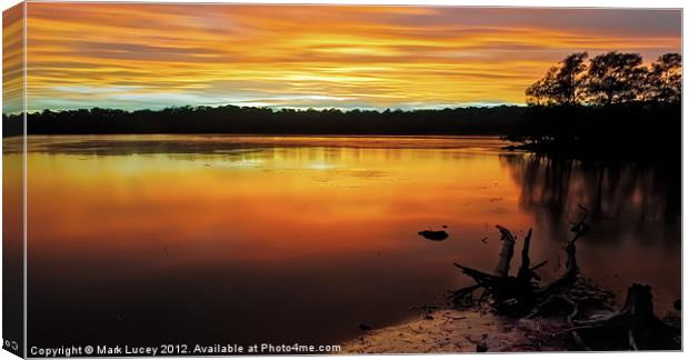 Colour of Narrabeen Canvas Print by Mark Lucey