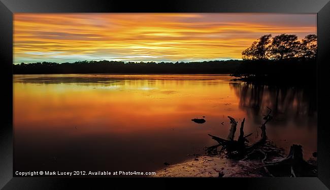 Colour of Narrabeen Framed Print by Mark Lucey