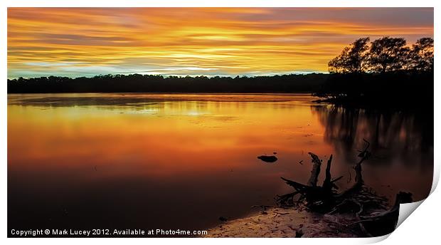 Colour of Narrabeen Print by Mark Lucey