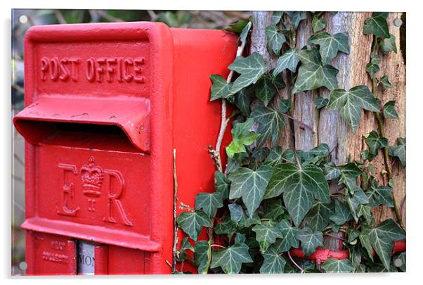 Post Box and Ivy Acrylic by graham young