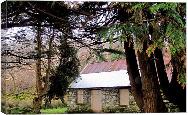 Old Cottage Canvas Print by barbara walsh