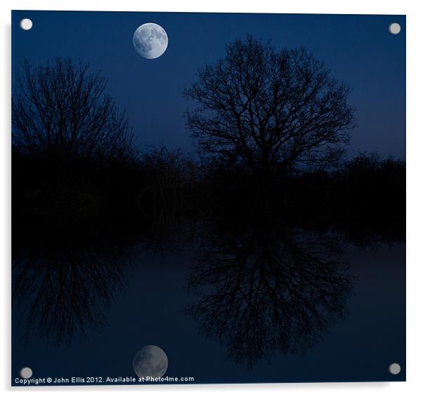 Moonlit Morning Acrylic by John Ellis