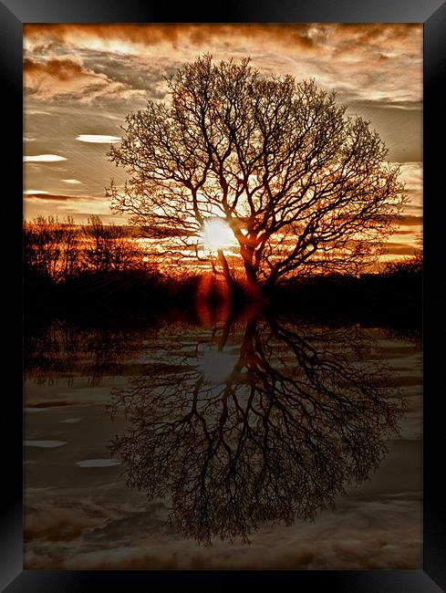 Sunrise Over Woolsington Framed Print by John Ellis