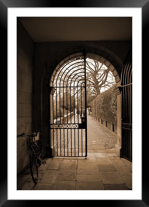 Gate Framed Mounted Print by Kyle Shadlock