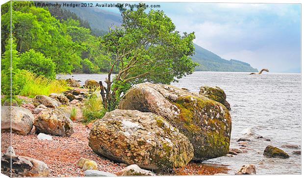On the shore of Loch Ness and monster. Canvas Print by Anthony Hedger
