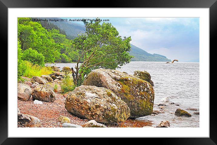 On the shore of Loch Ness and monster. Framed Mounted Print by Anthony Hedger