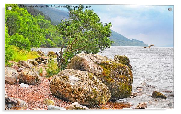 On the shore of Loch Ness and monster. Acrylic by Anthony Hedger