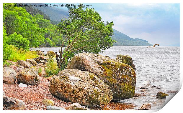 On the shore of Loch Ness and monster. Print by Anthony Hedger