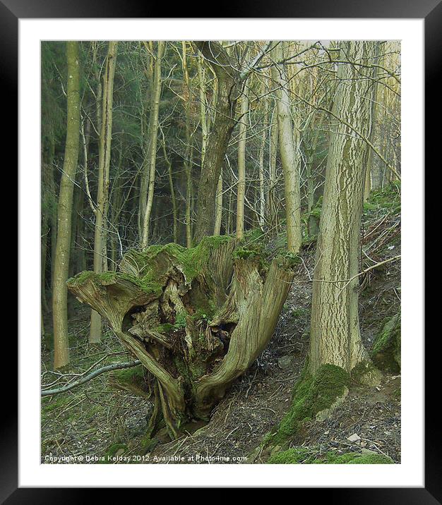 Tree Trunk Framed Mounted Print by Debra Kelday